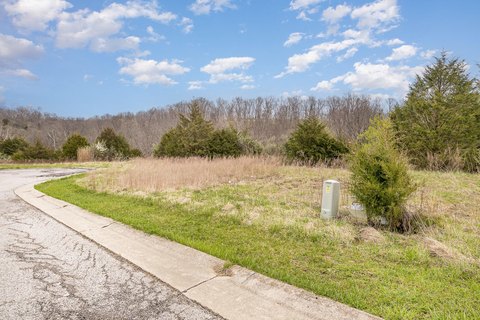 Residential Land in Dry Ridge
