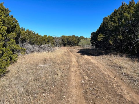 Heavily Wooded Land Near Lake Whitney