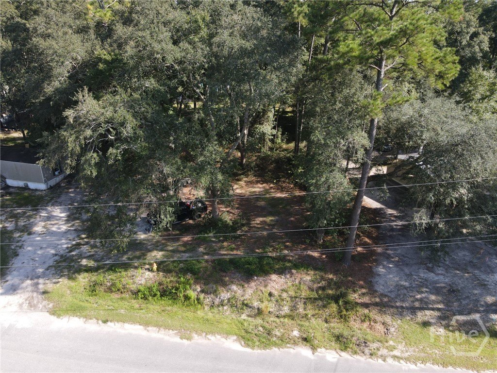 Picture 5