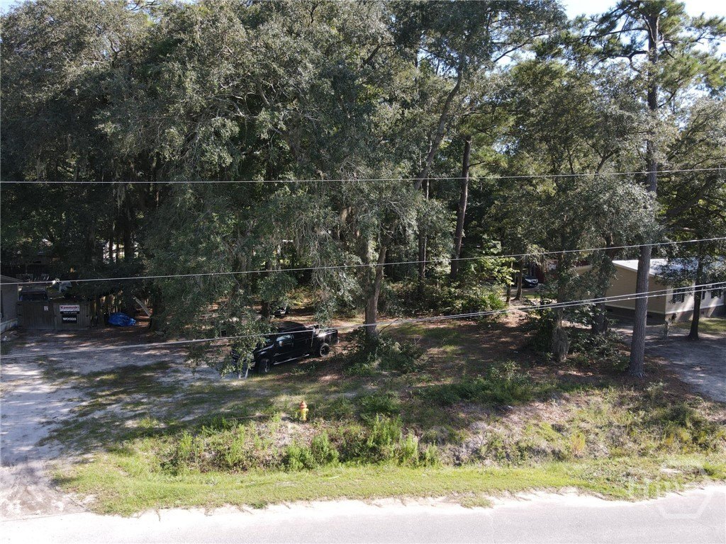 Picture 3