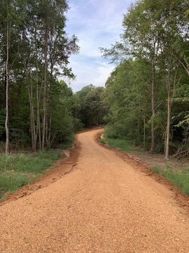 Residential Land in Water Valley