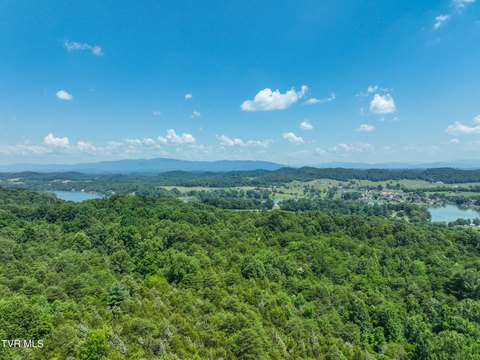 66 Acres Near Boone Lake