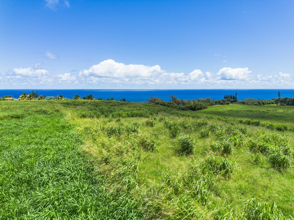 Picture 26