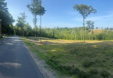 Cleared Land with Lake Views
