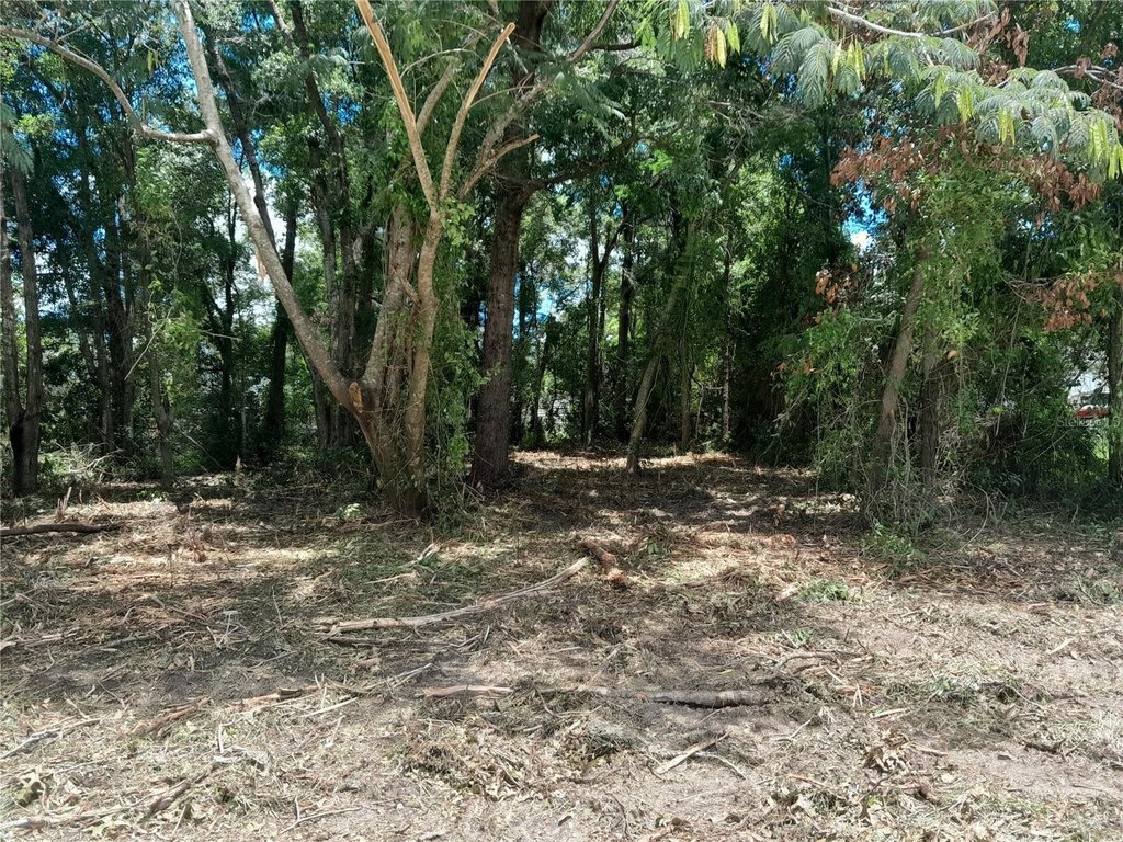 Picture 2