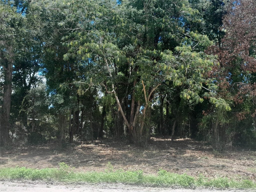 Picture 5