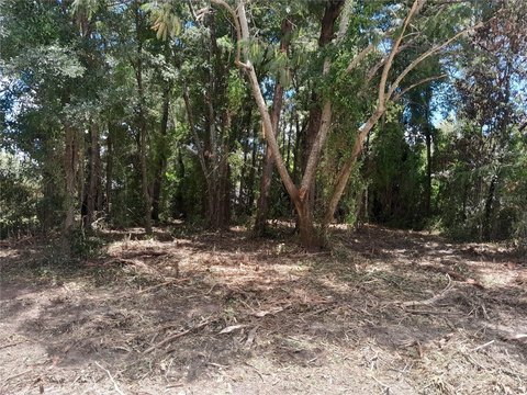 Residential Building Lot in Williston