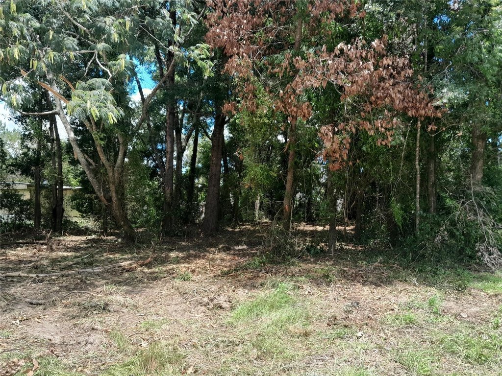 Picture 4
