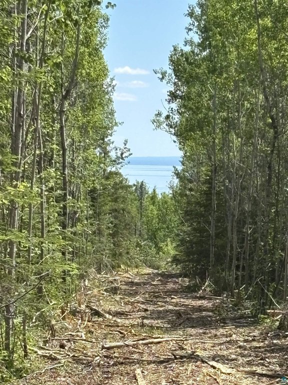 Picture 29
