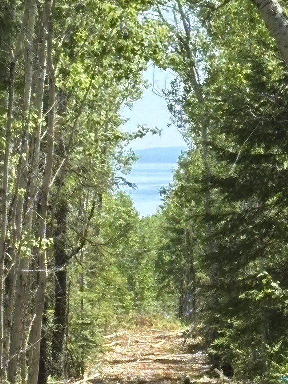 Picture 30
