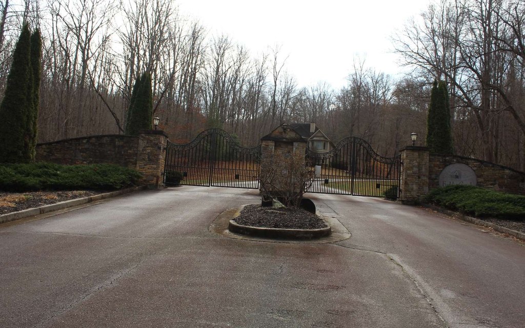 Picture 21