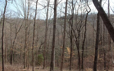 Creekfront Lot in Gated Subdivision