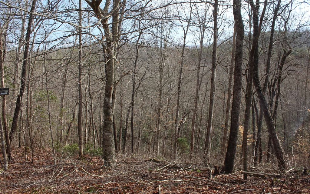Picture 18