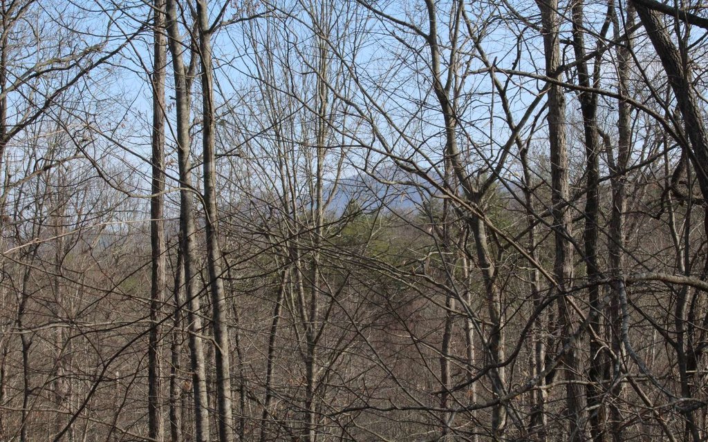 Picture 7