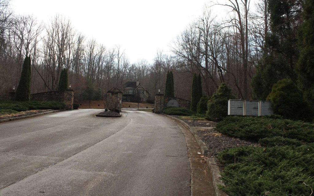 Picture 19