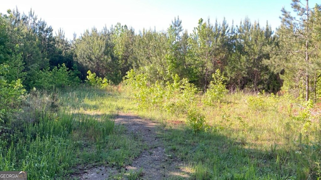 Picture 2
