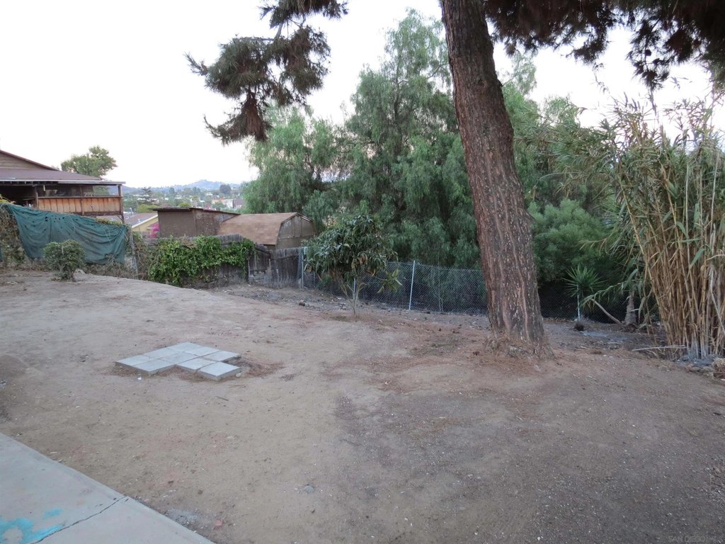 Picture 36