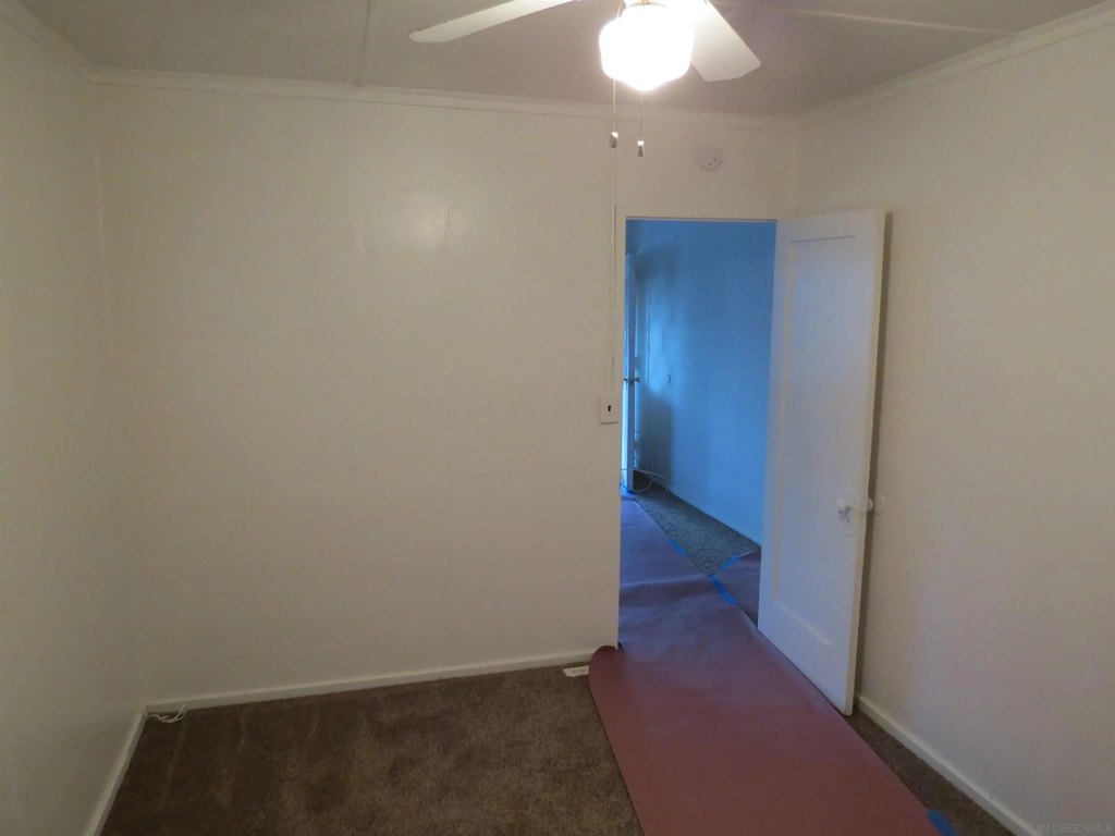 Picture 31