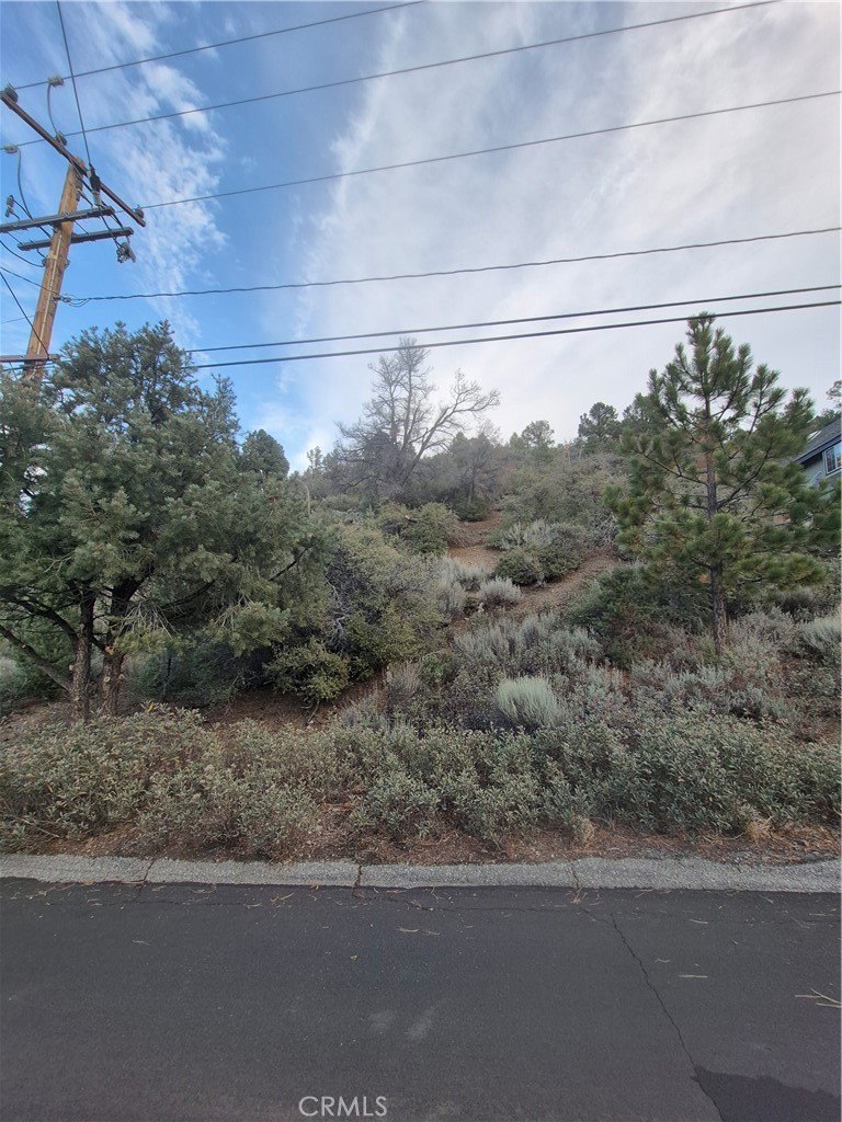 Land Plot in Pine Mountain