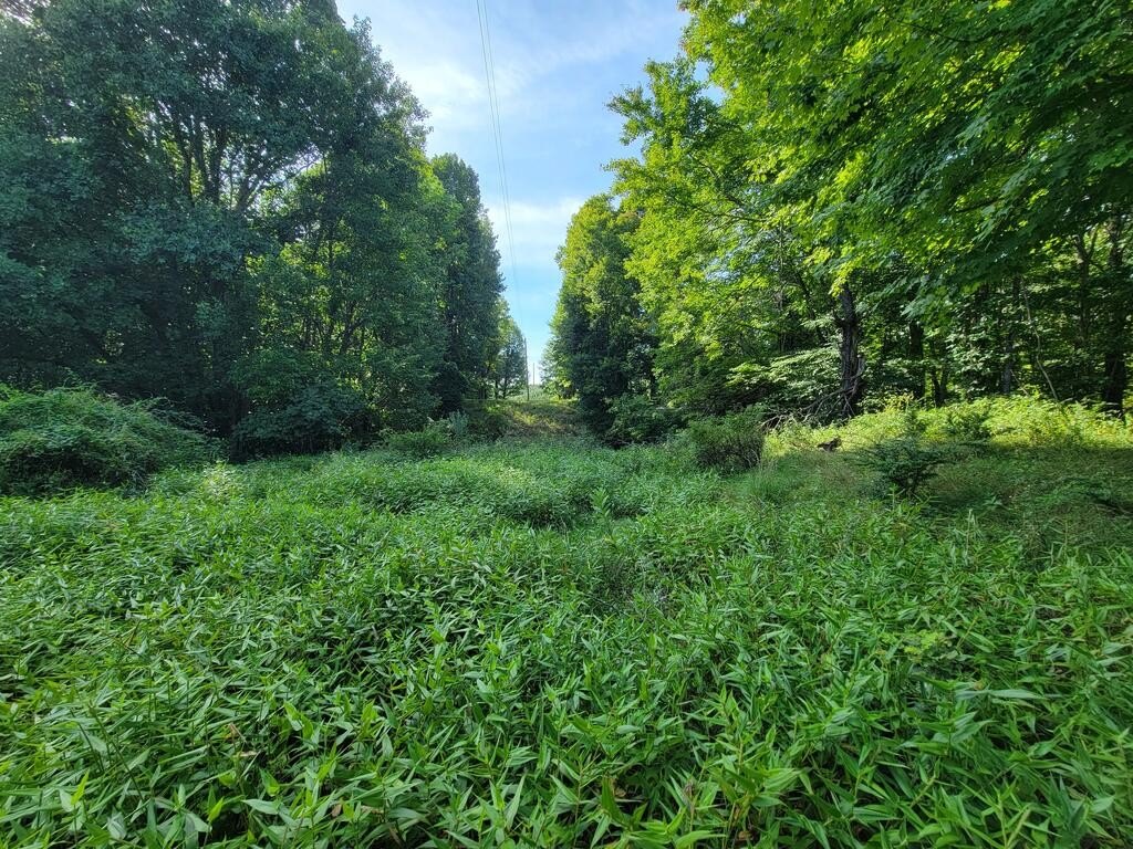 Picture 3