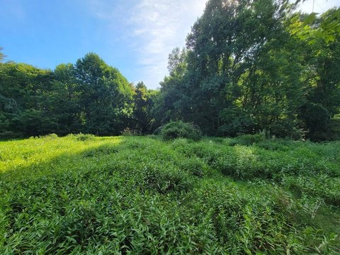 Land, Mouth of Wilson, VA