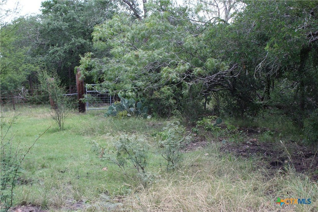 Picture 6