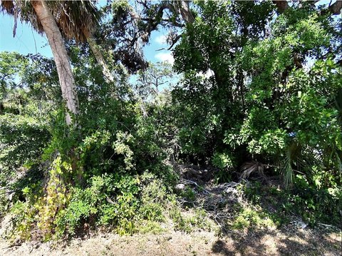 LAND - VENICE, FL