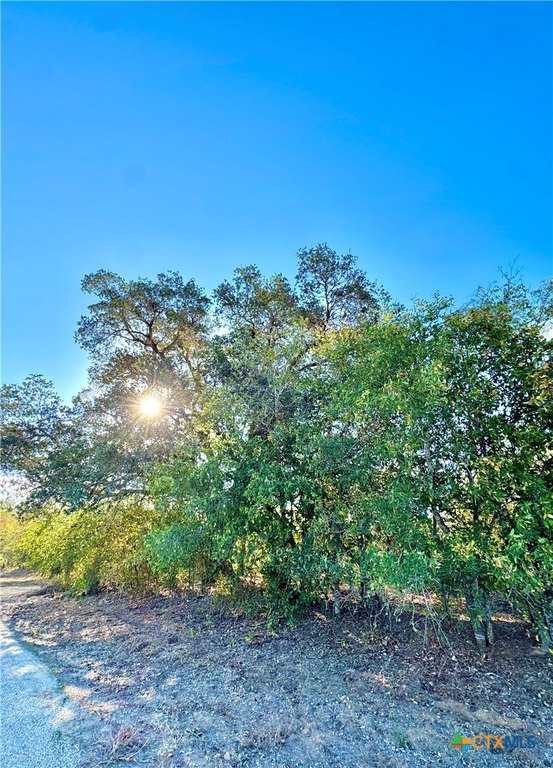 Picture 8