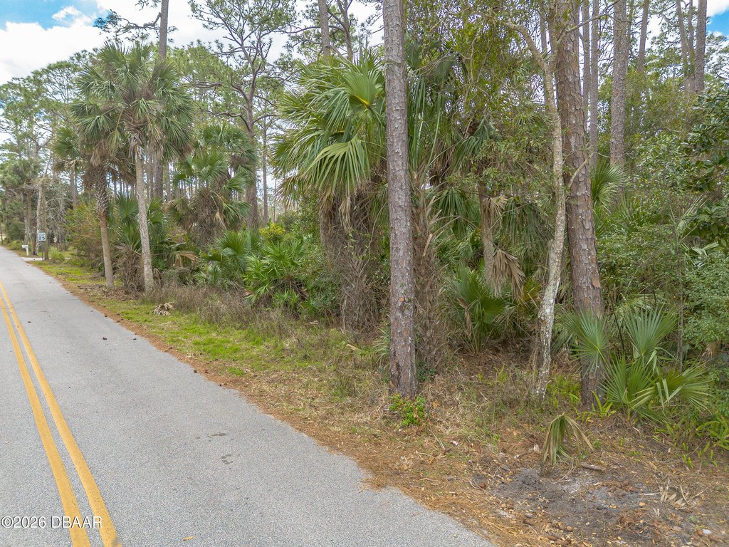 Picture 17