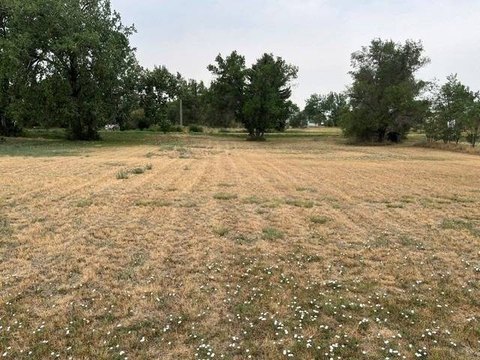 Land, Sidney, MT