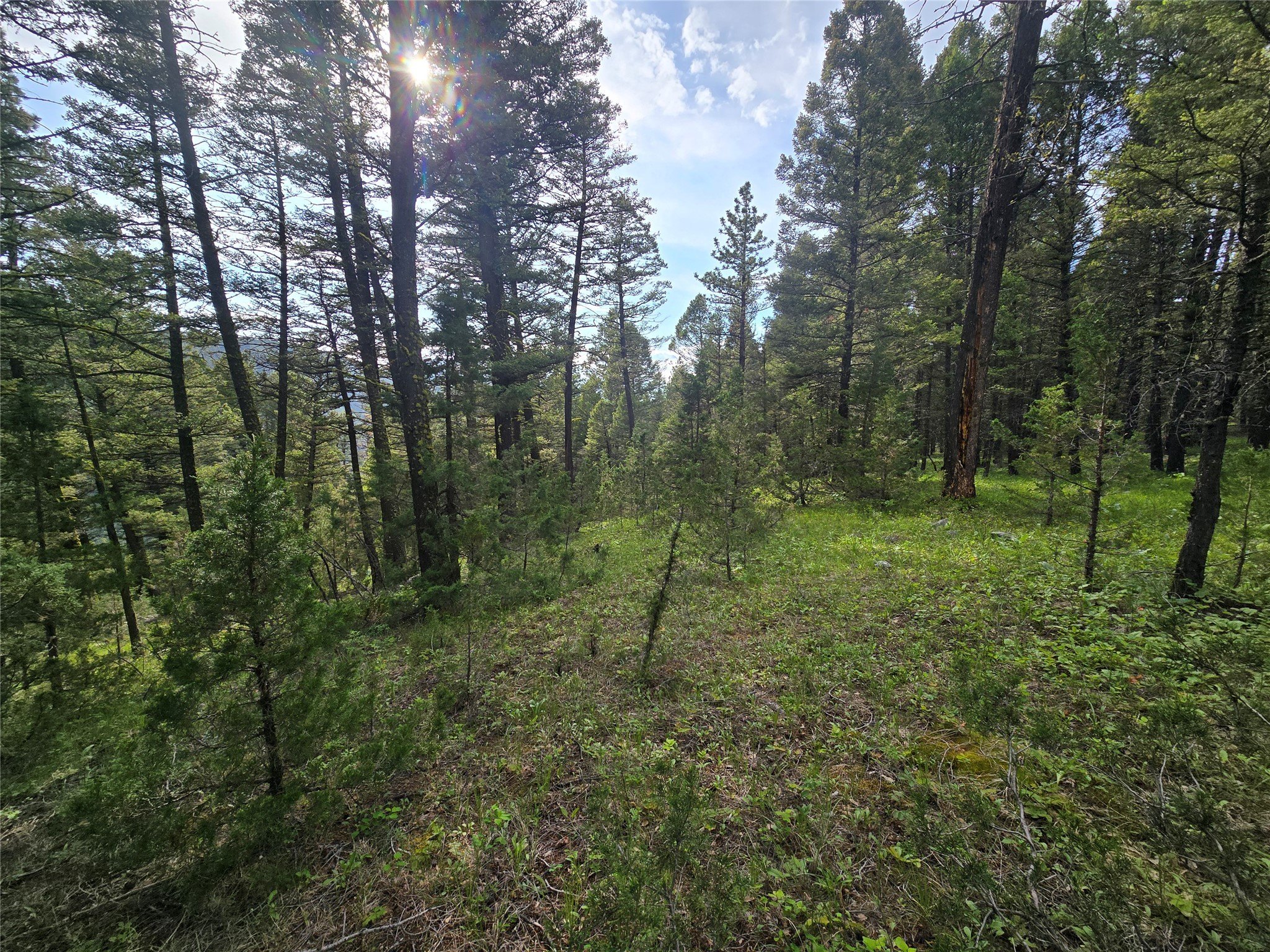 Montana Off-Grid Recreational Land