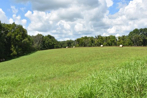 Land, Harrodsburg, KY