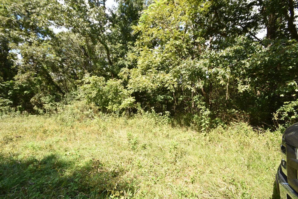 Picture 13