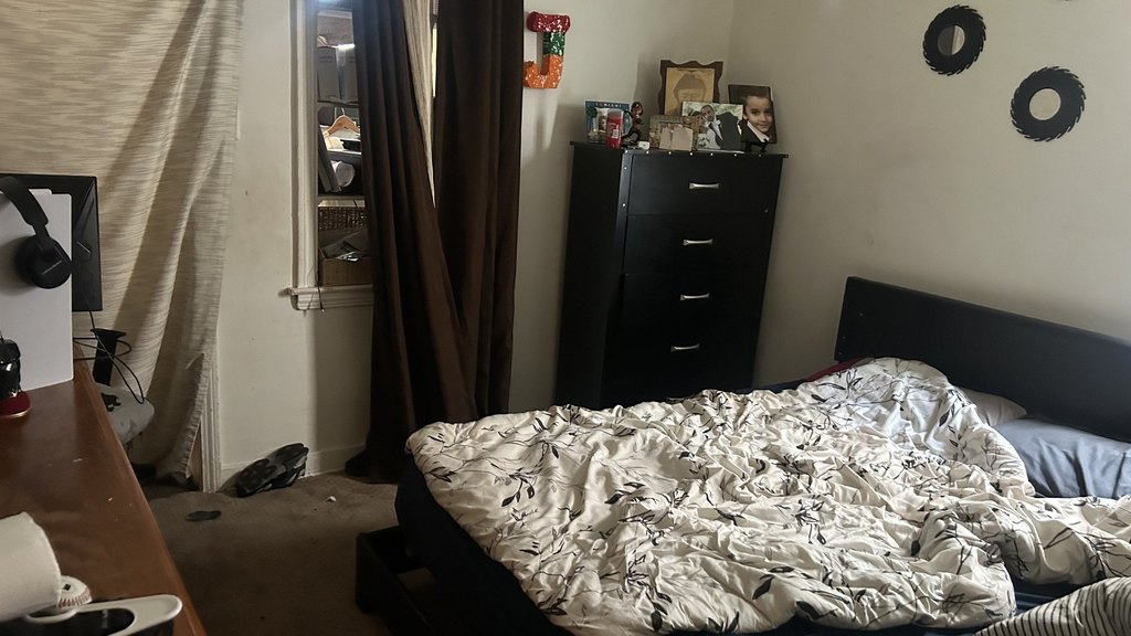 Picture 5