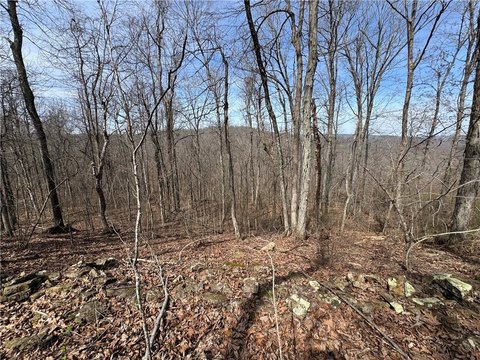 Land, Pelsor, AR