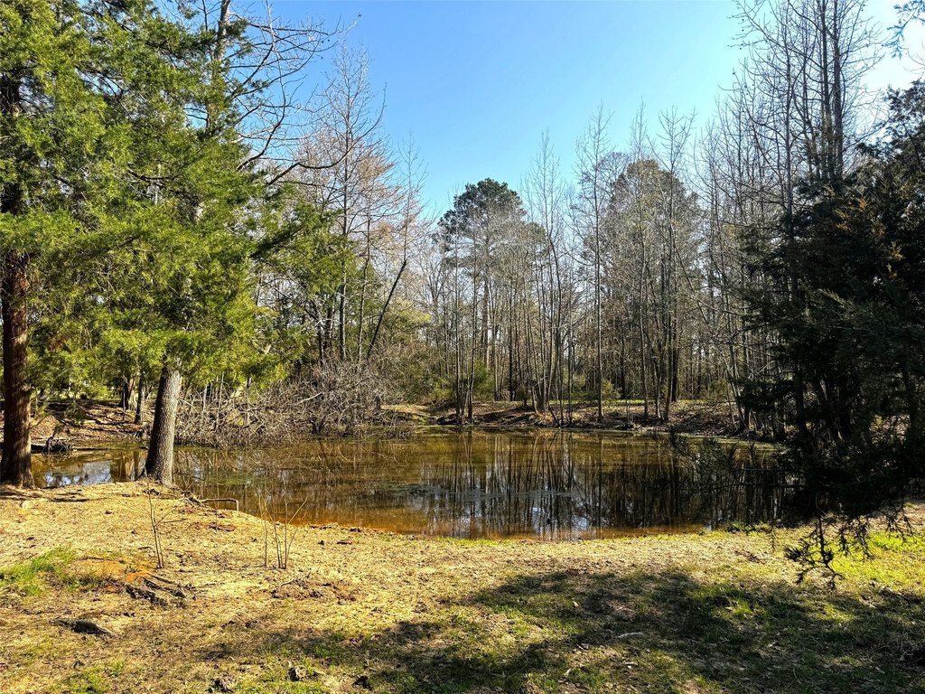 Picture 24