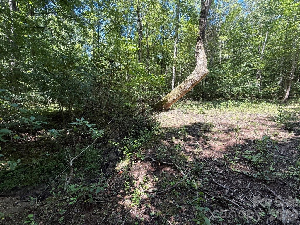 Picture 20