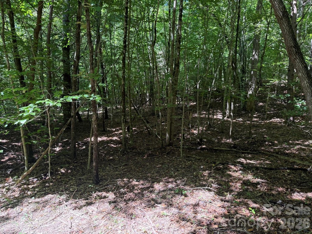 Picture 25
