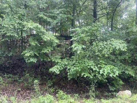 LAND - Kimberling City, MO