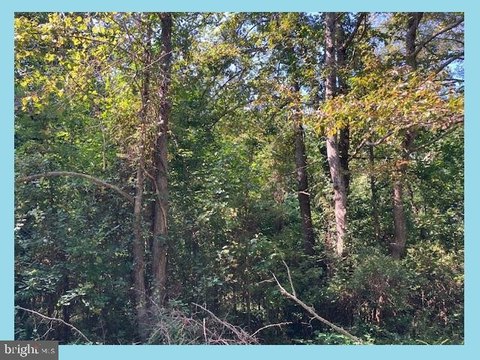 Residential Lot in Waterfront Community