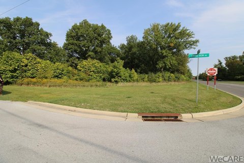 Land with Excellent Road Frontage