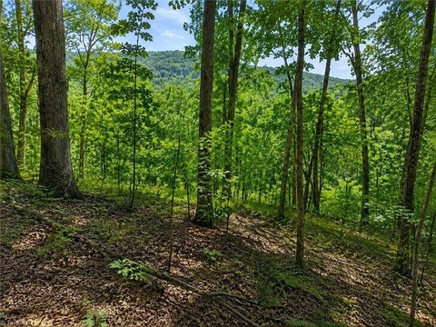Land, Danbury, NC