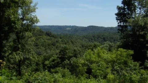 Lakeview Land in Gated Community