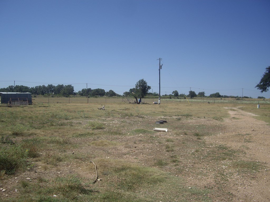 Picture 21