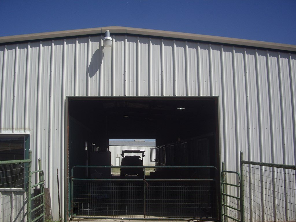 Picture 19