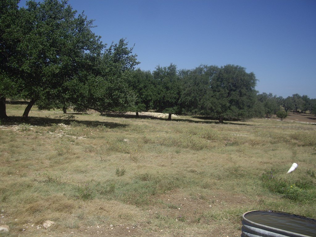 Picture 22
