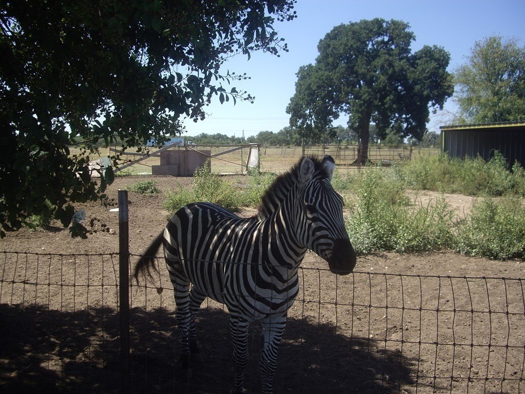 Picture 20