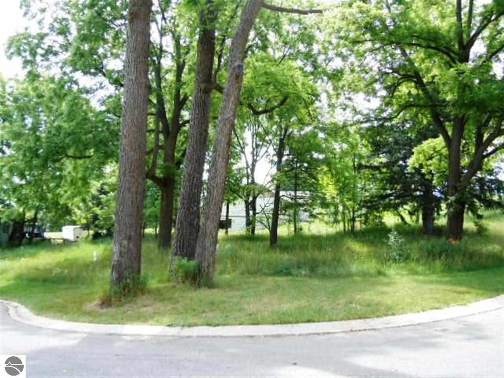Picture 21