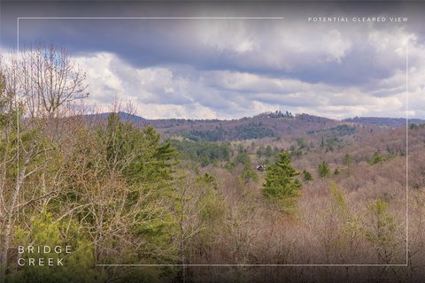 Wooded Lot in Gated Community