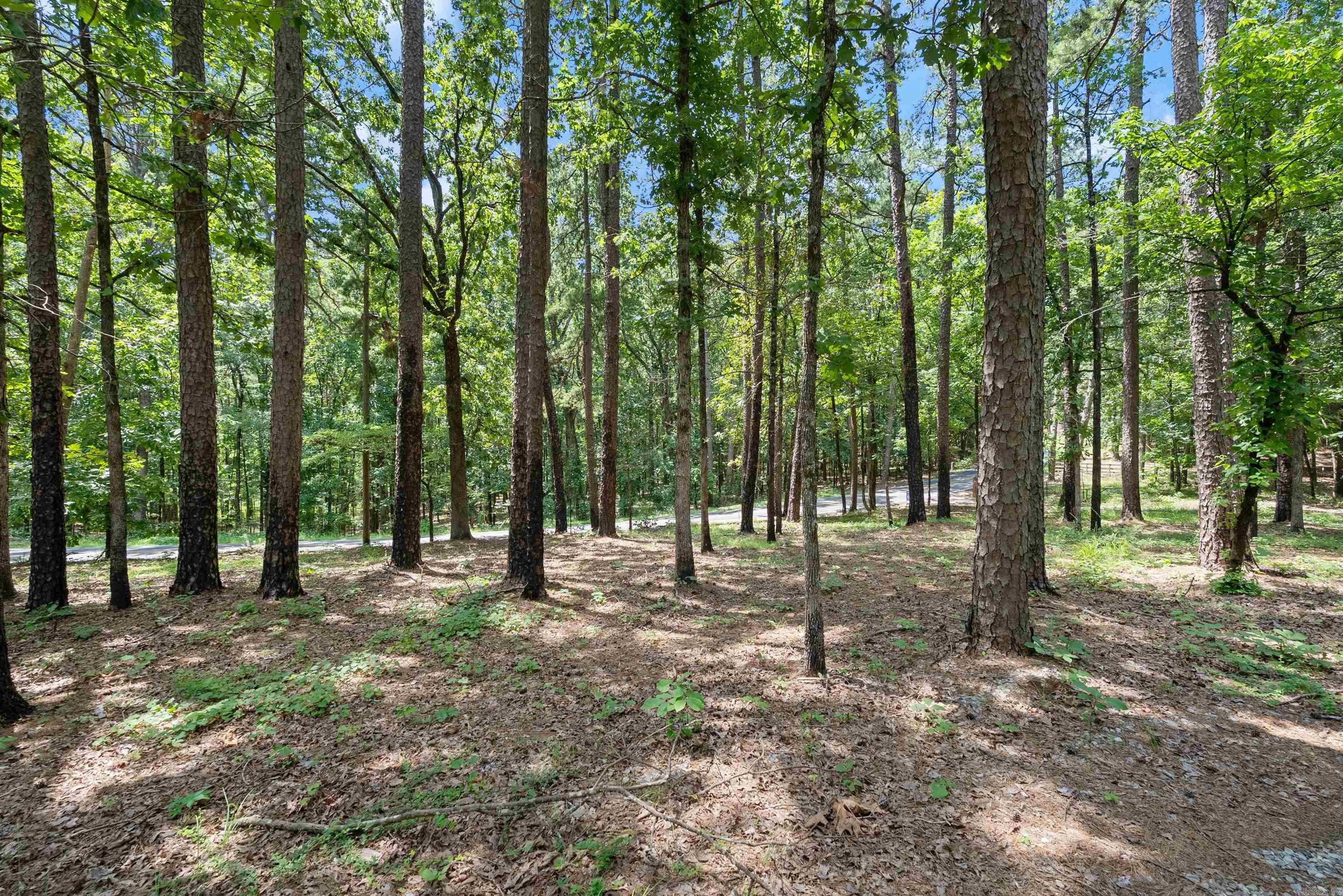 Little Rock Timber Land
